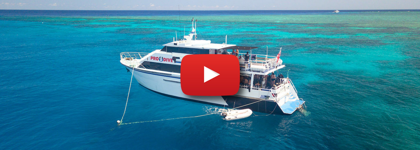 great barrier reef dive trips