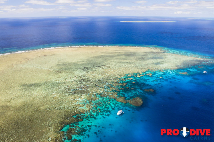 Prodive Cairns