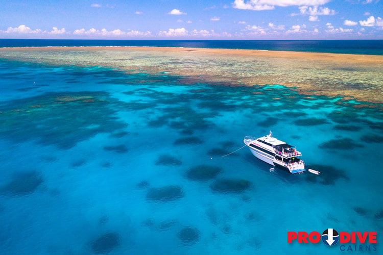 3 Day Great Barrier Reef Liveaboard Dive Trip Pro Dive Cairns