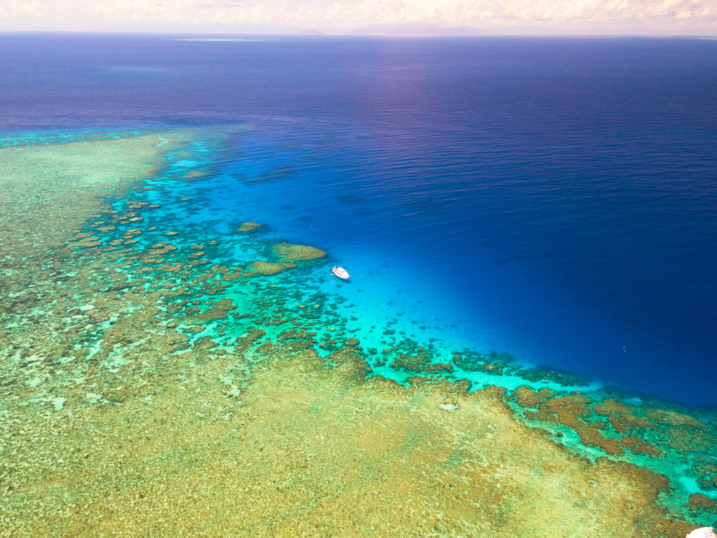 Pro Dive Cairns Great Barrier Reef Scuba Diving and Certification