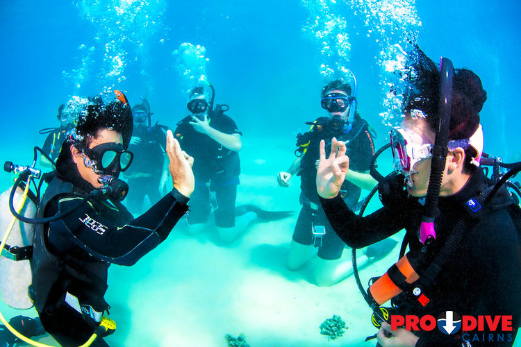 Beginner Scuba Training – Pro Dive Central Coast