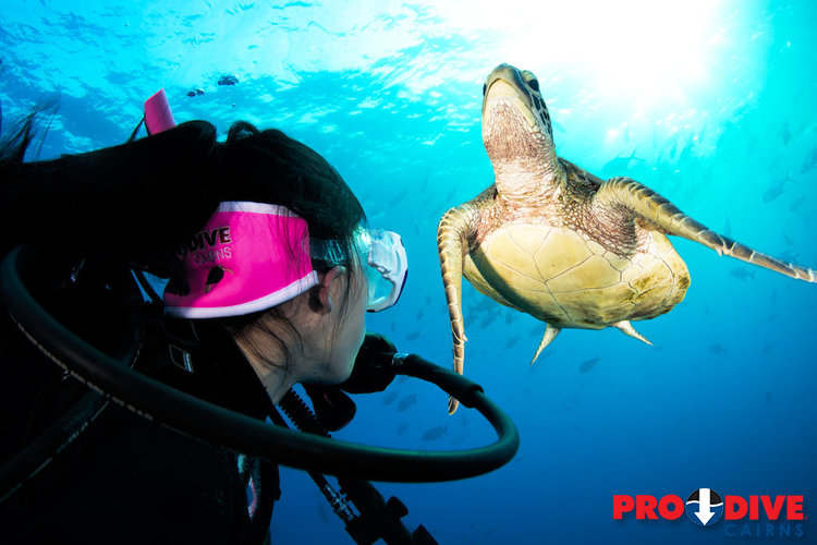 Ocean Referral Dive Course, Pro Dive Cairns