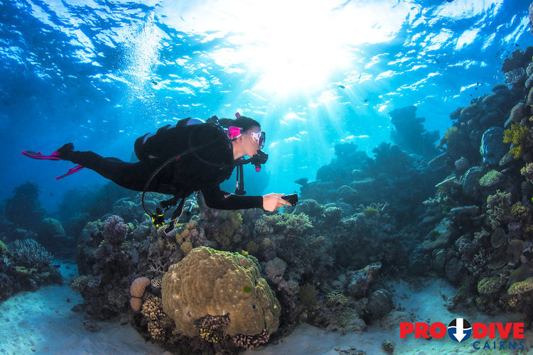 Prodive Cairns