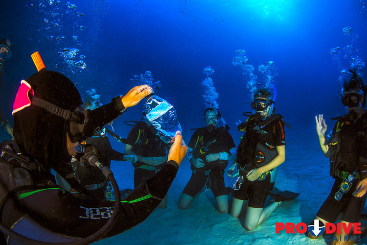 padi elearning open water final exam