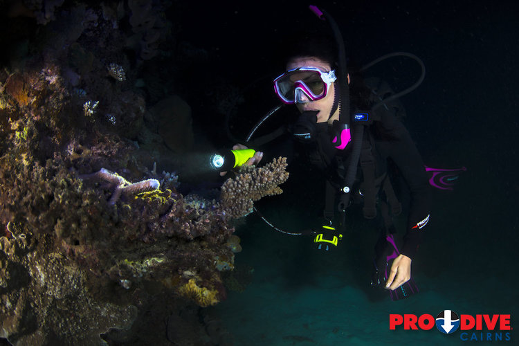 Prodive Cairns