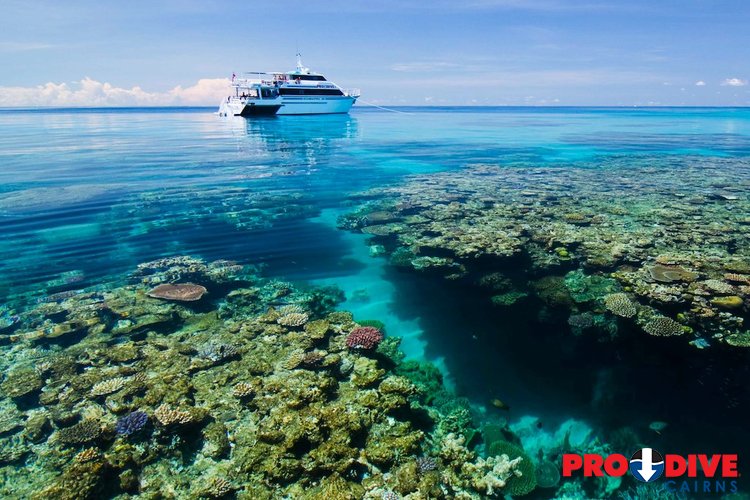 Prodive Cairns