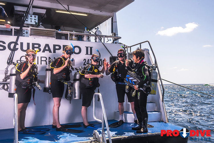 Prodive Cairns