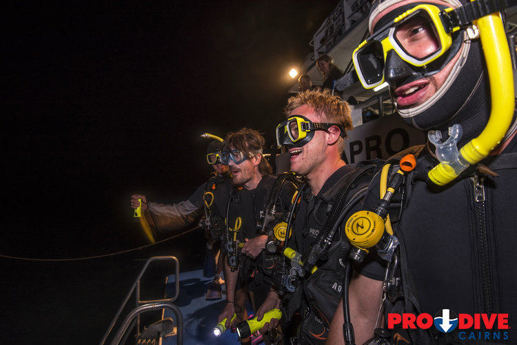 Prodive Cairns