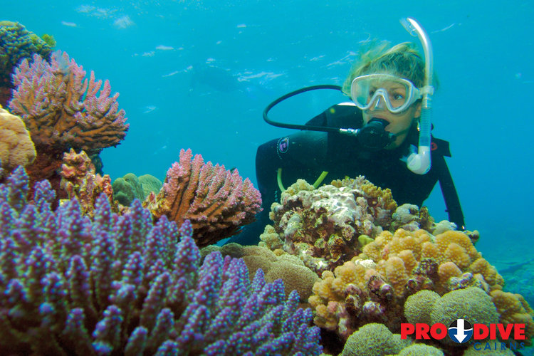 Prodive Cairns