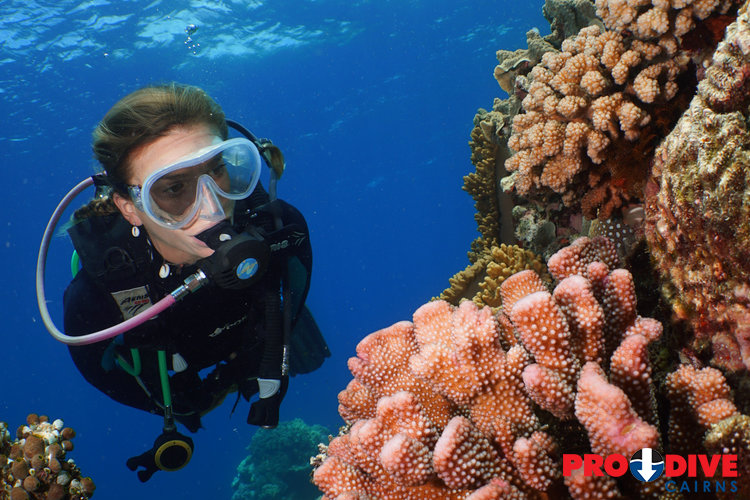 Prodive Cairns