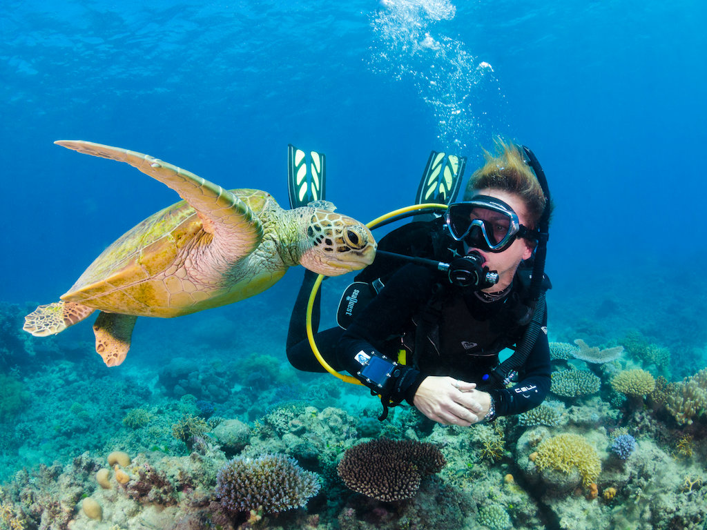 Silverswift Day Cruise Great Barrier Reef Scuba Diving