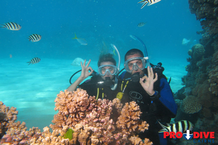 Prodive Cairns