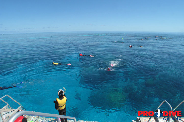 Prodive Cairns