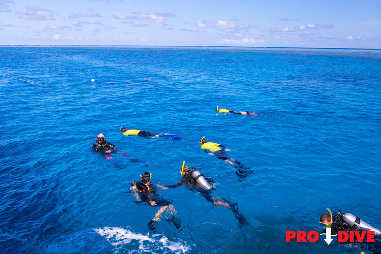 Prodive Cairns